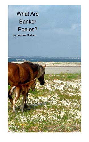 What Are Banker Ponies [Paperback]
