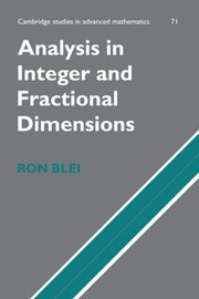 Analysis in Integer and Fractional Dimensions [Hardcover]