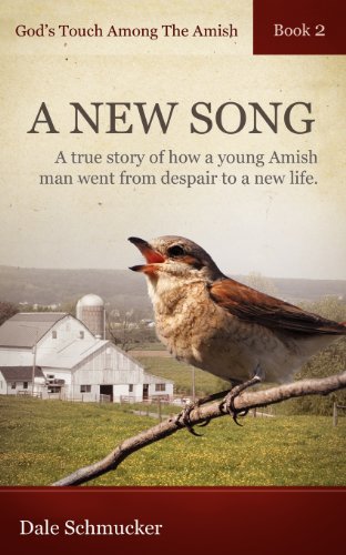 God's Touch Among The Amish Book 2 [Paperback]