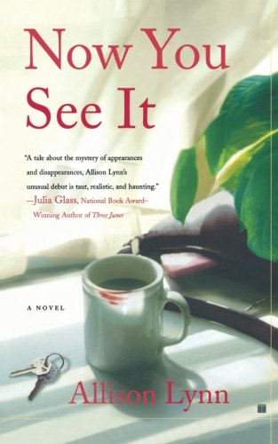 Now You See It A Novel [Paperback]