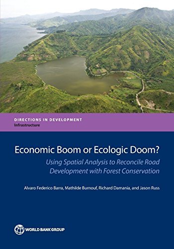 Transport, Economic Growth, and Deforestation in the Democratic Republic of Cong [Paperback]