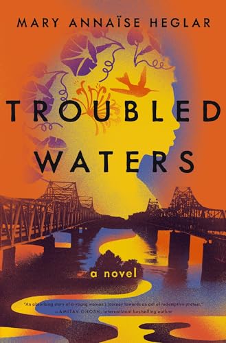 Troubled Waters [Paperback]
