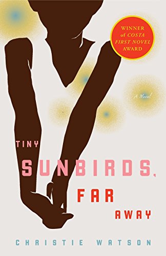 Tiny Sunbirds, Far Away [Paperback]