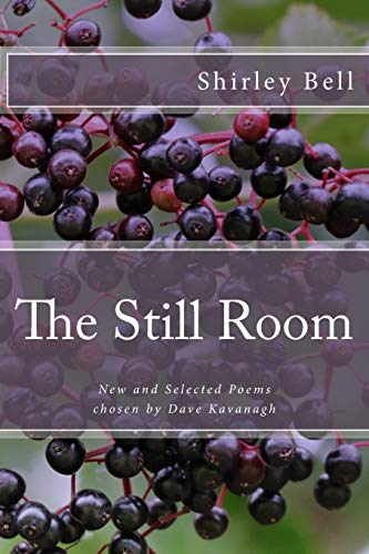 Still Room  New and Selected Poems, Chosen by Dave Kavanagh [Paperback]