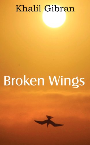 Broken Wings [Paperback]