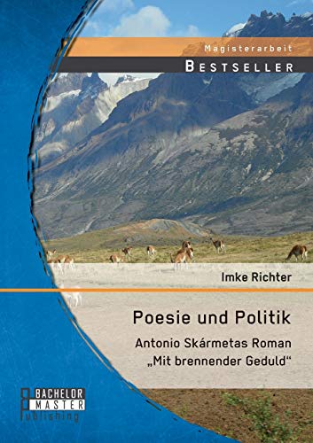 Poesie Und Politik Antonio Skrmetas Roman Mit Brennender Geduld  (german Editi [Paperback]