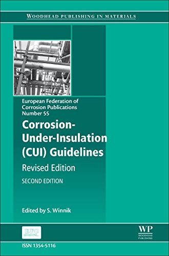 Corrosion Under Insulation (CUI) Guidelines Revised [Hardcover]