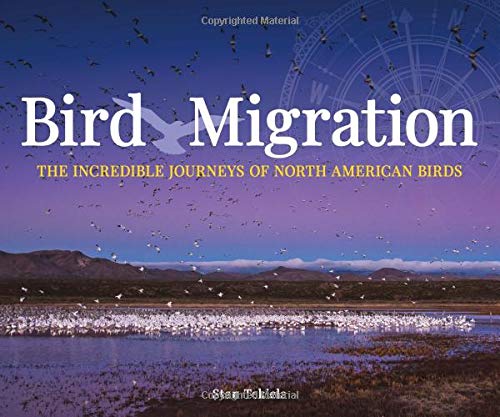 Bird Migration The Incredible Journeys of North American Birds [Paperback]
