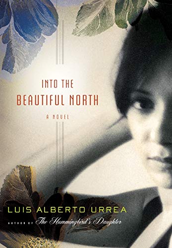 Into the Beautiful North A Novel [Hardcover]