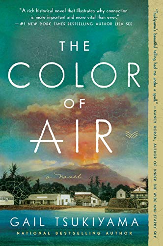 The Color of Air A Novel [Paperback]