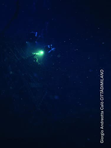 Giorgio Andreotta Cal&242 Citt&224dimilano [Hardcover]