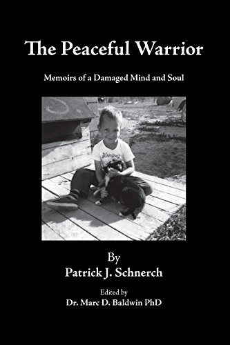 The Peaceful Warrior Memoirs Of A Damaged Mind And Soul [Paperback]