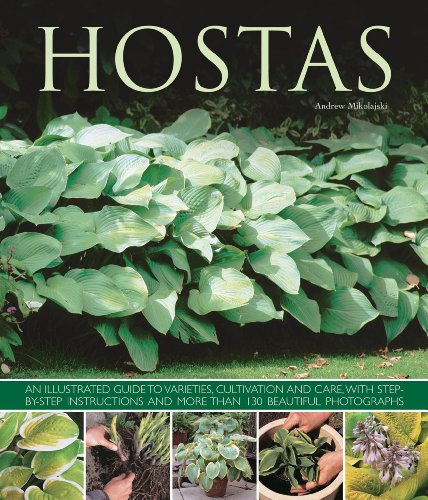 Hostas An illustrated guide to varieties, cultivation and care, with step-by-st [Paperback]
