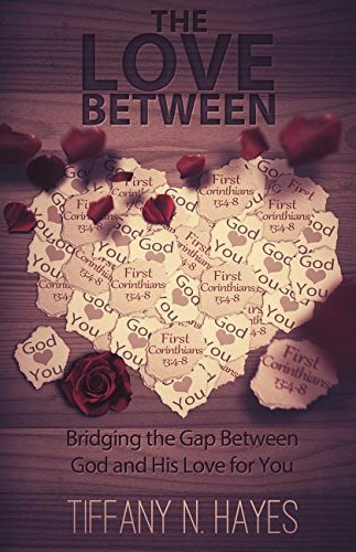 The Love Between Bridging The Gap Between God And His Love For You [Paperback]