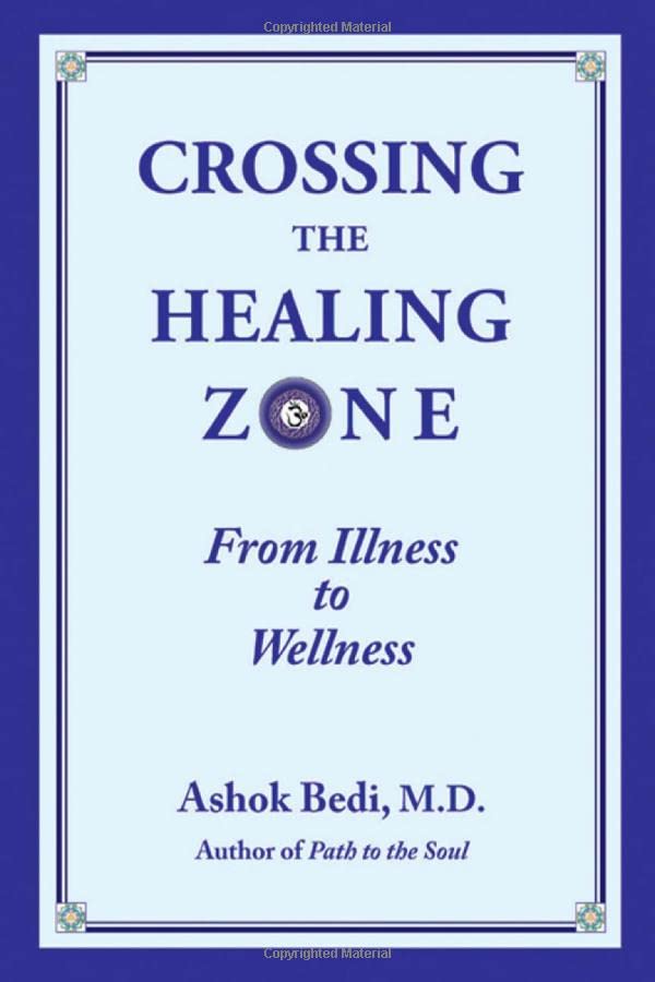 Crossing The Healing Zone From Illness To Wellness [Paperback]