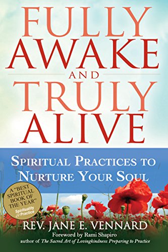 Fully Awake and Truly Alive Spiritual Practices to Nurture Your Soul [Paperback]