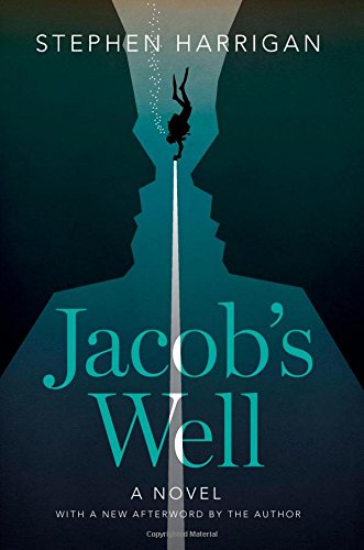 Jacob's Well A Novel [Paperback]