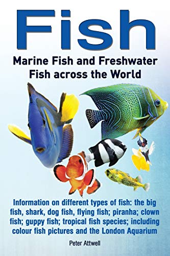 Fish Marine Fish And Freshwater Fish Across The World Information On Different [Paperback]