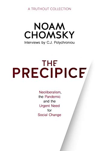 The Precipice: Neoliberalism, the Pandemic and the Urgent Need for Social Change [Paperback]
