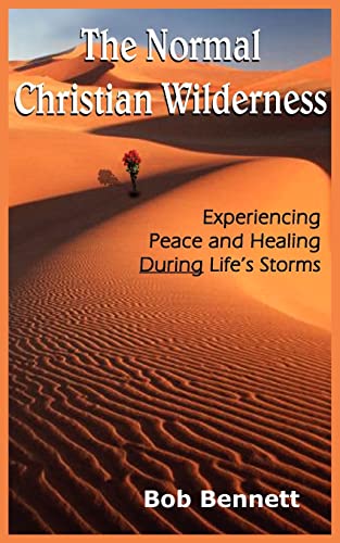 Normal Christian Wilderness  Experiencing Peace and Healing During Life's Storm [Paperback]