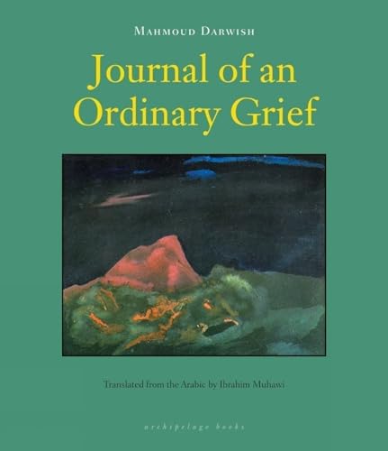 Journal of an Ordinary Grief [Paperback]