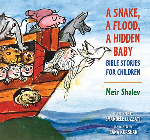 A Snake, a Flood, a Hidden Baby Bible Stories for Children [Hardcover]
