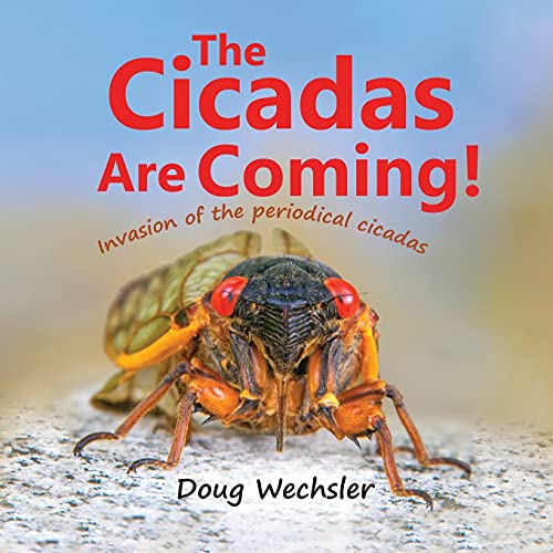 Cicadas Are Coming [Paperback]
