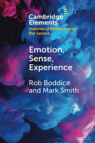 Emotion, Sense, Experience [Paperback]