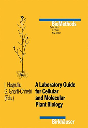 A Laboratory Guide for Cellular and Molecular Plant Biology [Paperback]