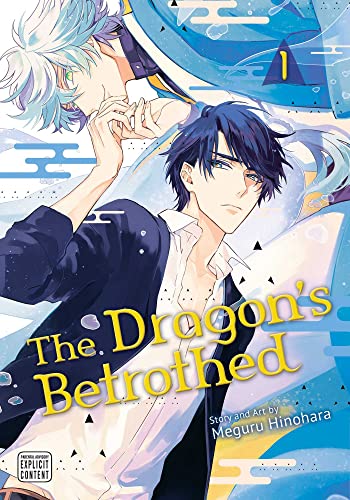 The Dragon&39s Betrothed, Vol. 1 [Paperback]