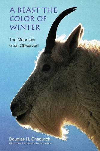 A Beast The Color Of Winter The Mountain Goat Observed [Paperback]