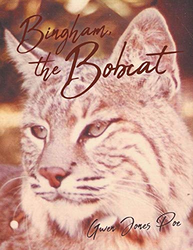 Bingham the Bobcat [Paperback]