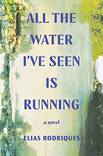 All the Water I've Seen Is Running A Novel [Hardcover]