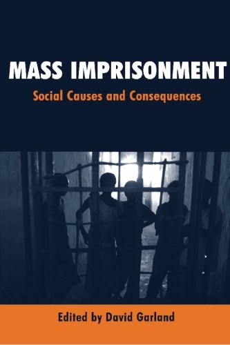 Mass Imprisonment Social Causes and Consequences [Paperback]