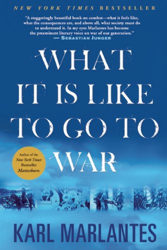 What It Is Like To Go To War [Paperback]