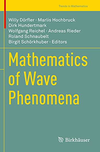 Mathematics of Wave Phenomena [Paperback]