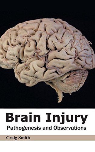 Brain Injury Pathogenesis And Observations [Hardcover]