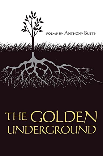 The Golden Underground (african American Life Series) [Paperback]