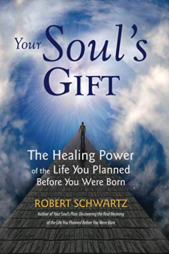 Your Soul's Gift The Healing Power Of The Life You Planned Before You Were Born [Perfect Paperback]