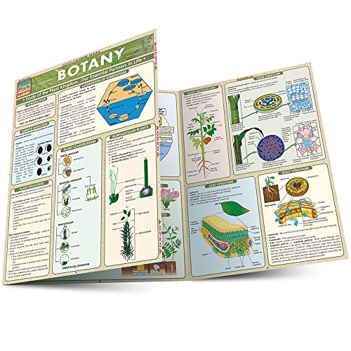 Botany [Fold-out book or cha]