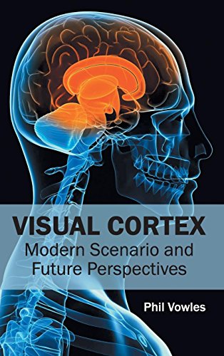 Visual Cortex Modern Scenario And Future Perspectives [Hardcover]
