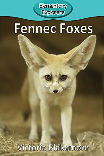 Fennec Foxes [Paperback]