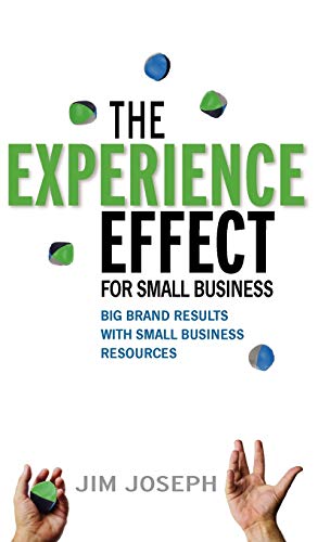 The Experience Effect For Small Business Big Brand Results With Small Business  [Hardcover]