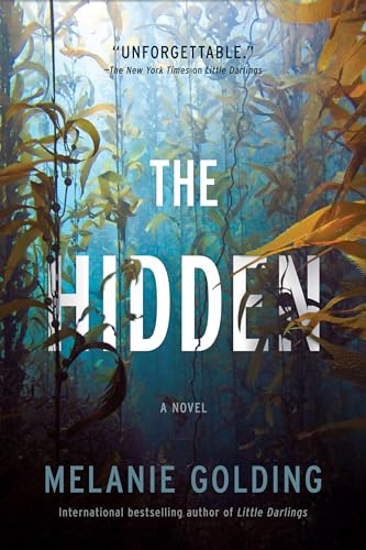 The Hidden A Novel [Paperback]