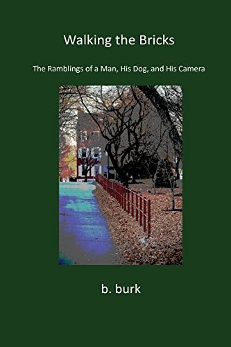 Walking The Bricks [Paperback]