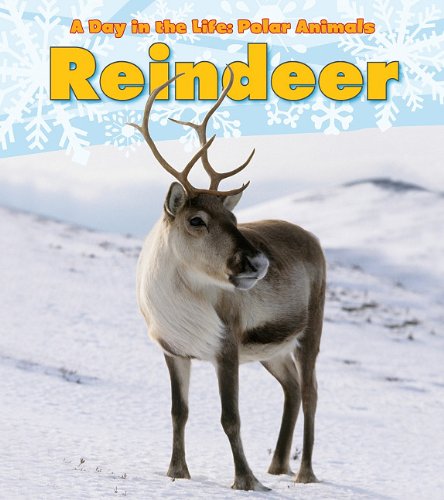 Reindeer (a Day In The Life Polar Animals) [Paperback]
