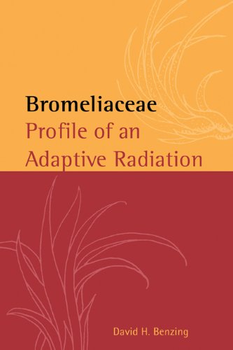 Bromeliaceae Profile of an Adaptive Radiation [Hardcover]
