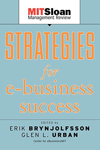 Strategies for E-Business Success [Paperback]