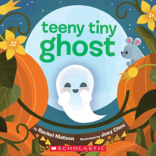 Teeny Tiny Ghost [Board book]