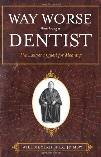 Way Worse Than Being A Dentist The Lawyer's Quest For Meaning [Paperback]